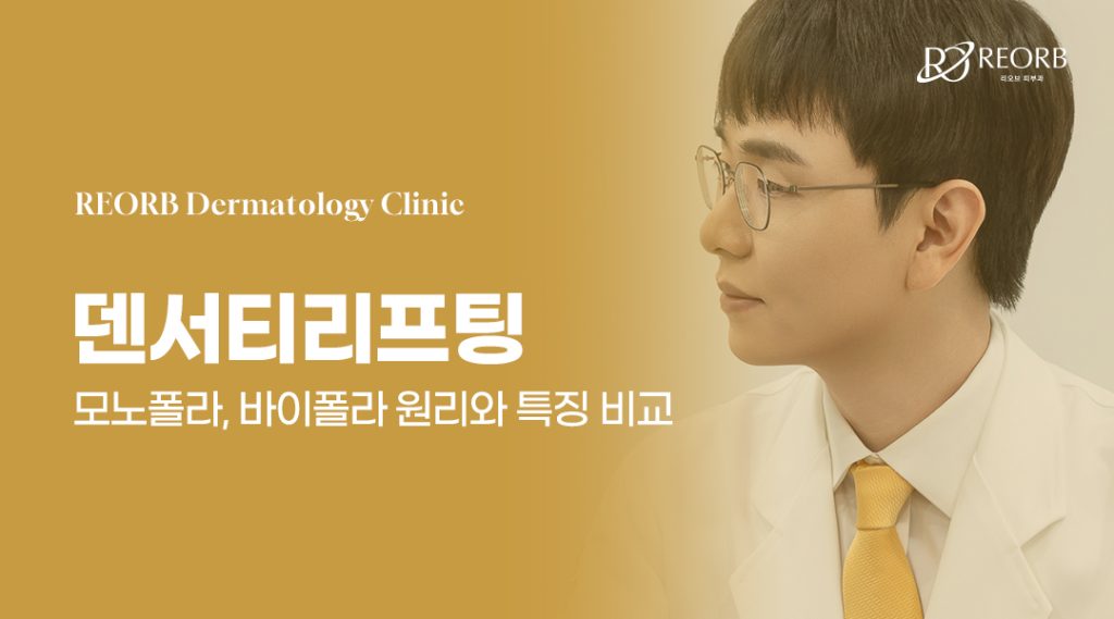 덴서티리프팅