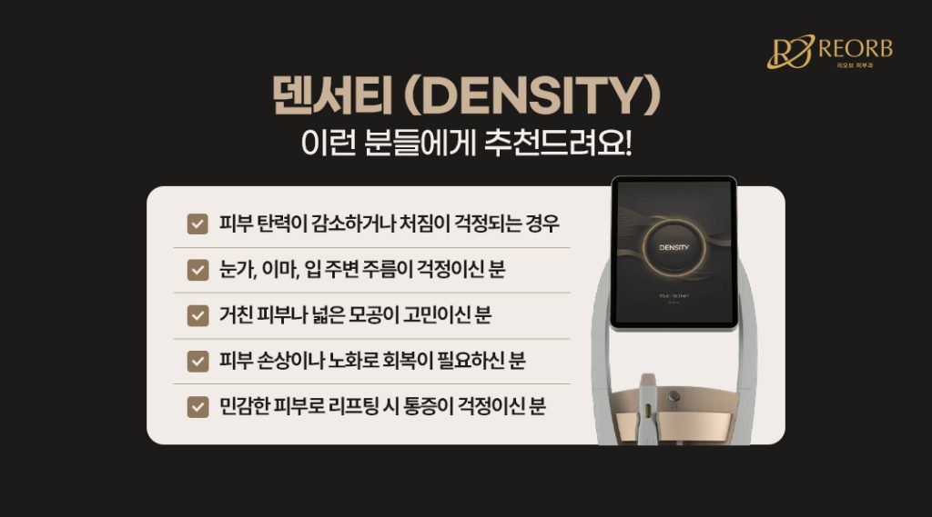덴서티 이런 분들에게 추천드립니다