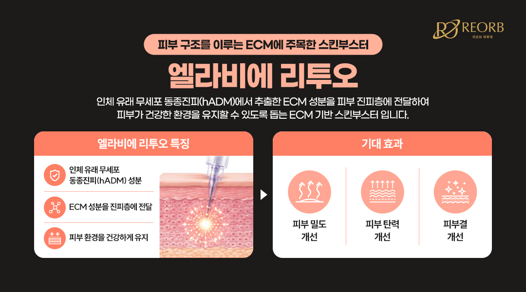 리투오에 대해 설명한 이미지