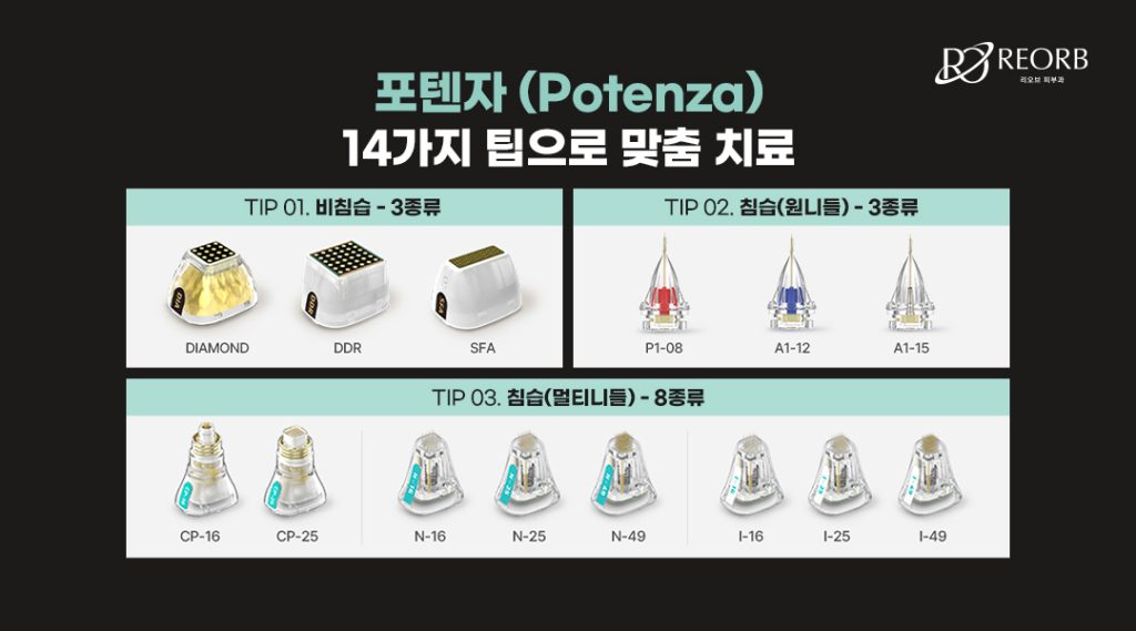 포텐자 팁의 종류